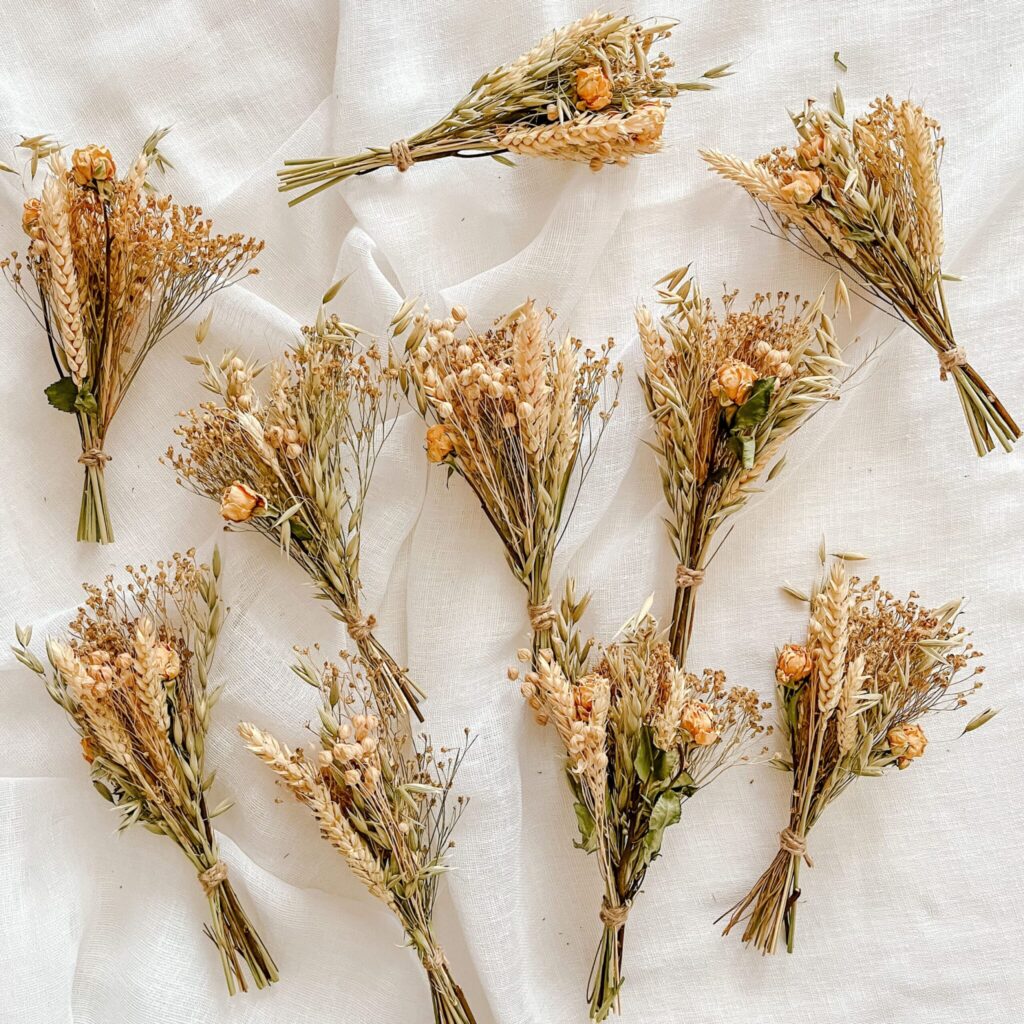 bouquets de fleurs séchées